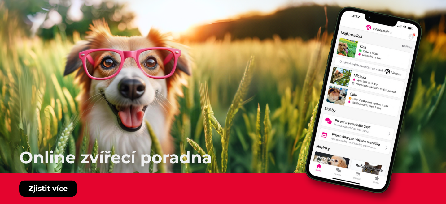 Zvířecí poradna uVeterináře